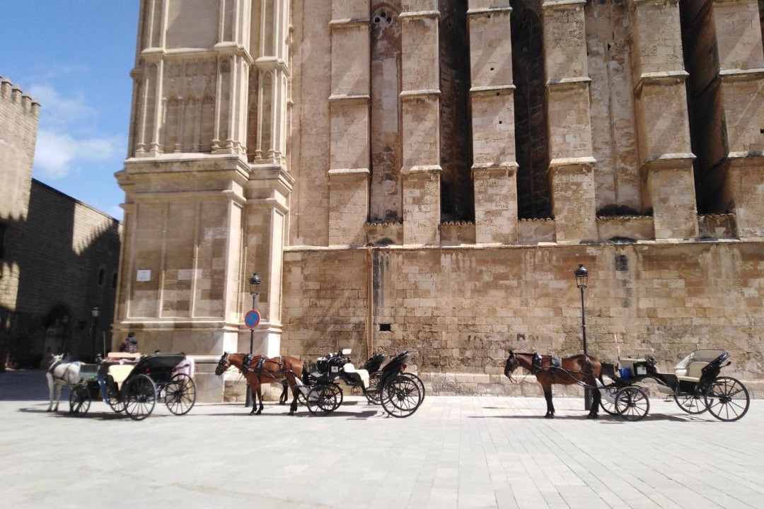 Photo of Buildings in Sindicat