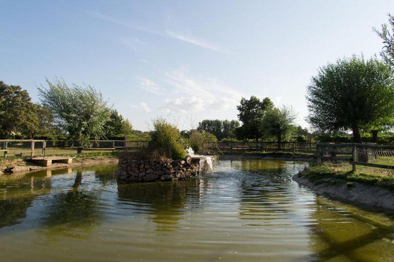 Photo of Others in Ciudad Rodrigo