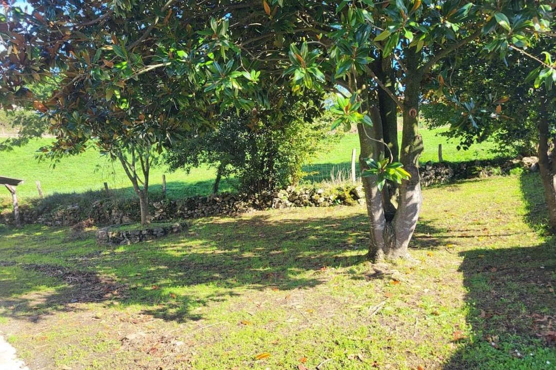 Photo of Outdoor in Ribamontan al Monte