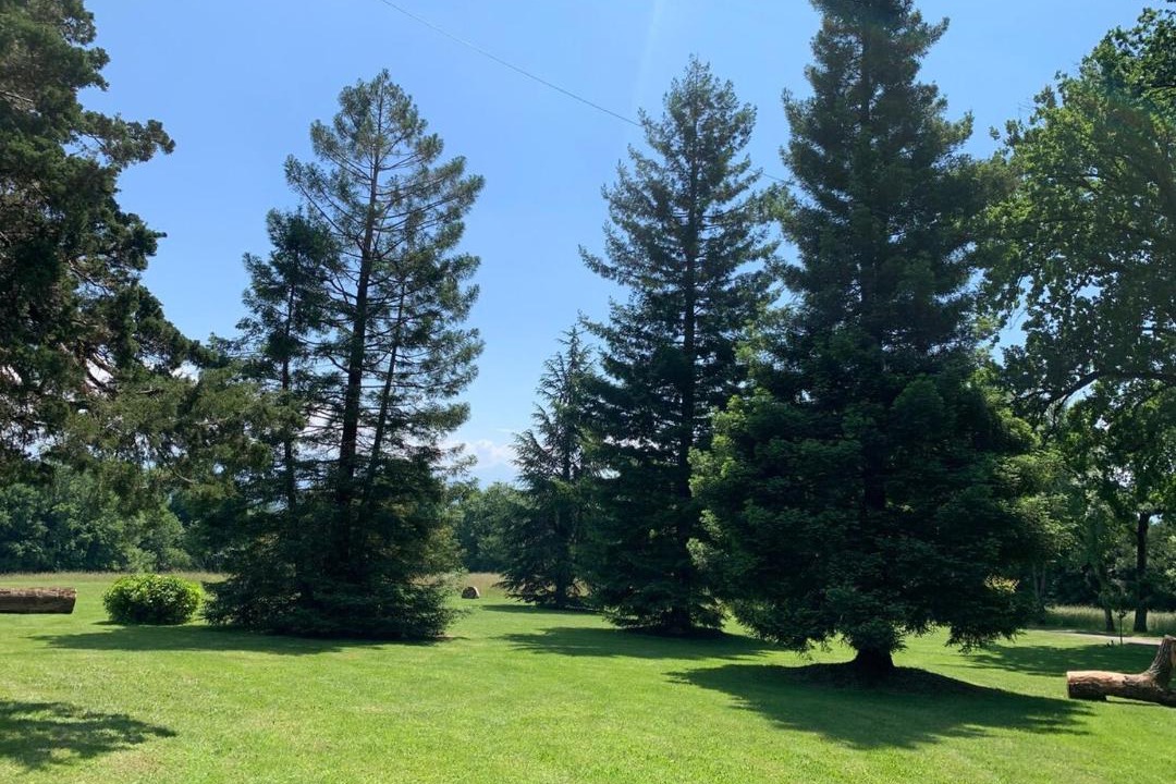 Photo of Outdoor in Echenevex