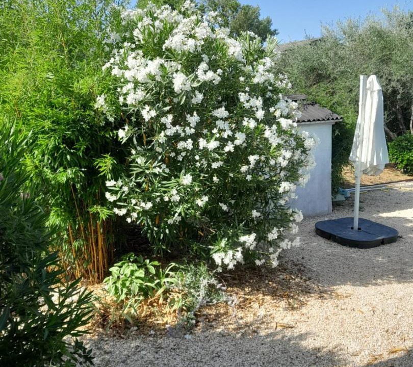 Photo of Others in Castillon-du-Gard