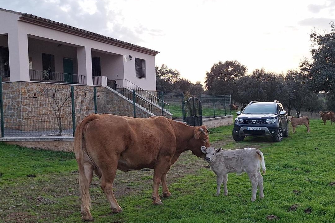 Photo of Others in Cumbres Mayores