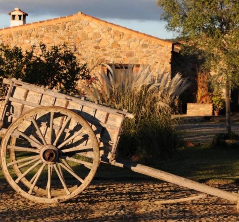 Photo of Others in El Madrono