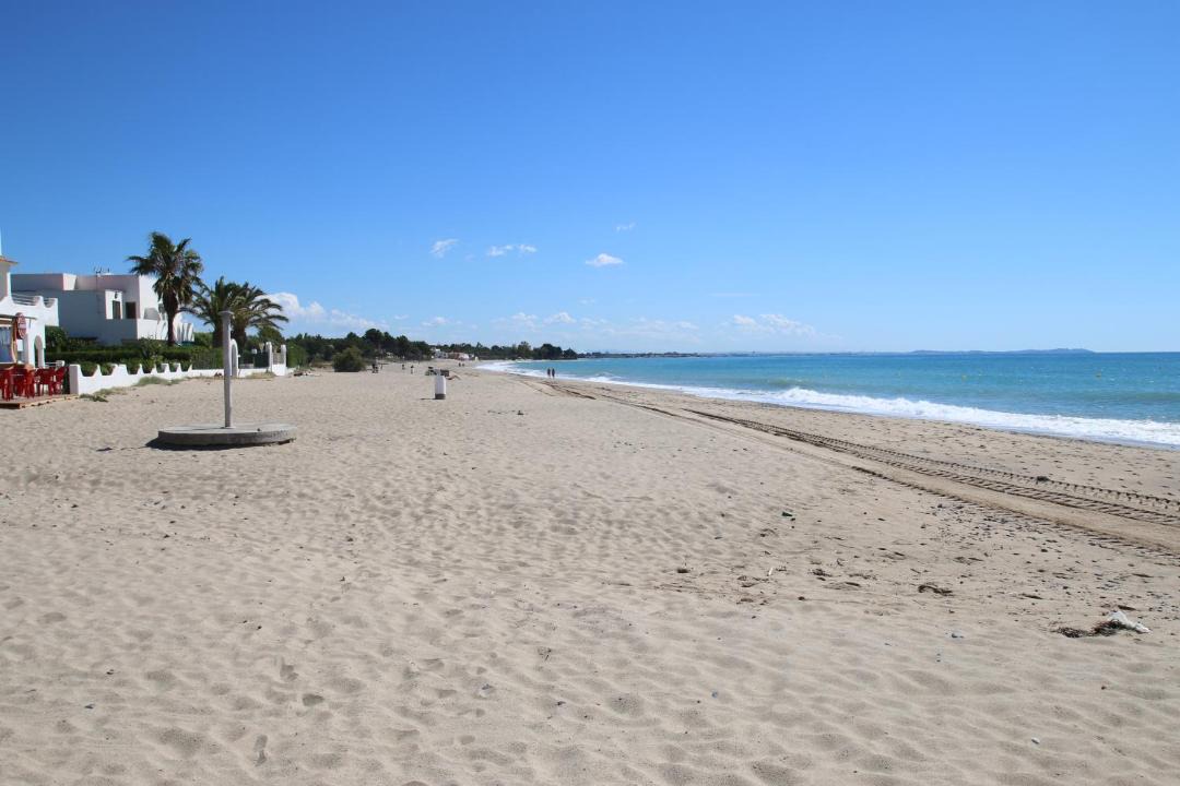 Photo of Others in Miami Platja