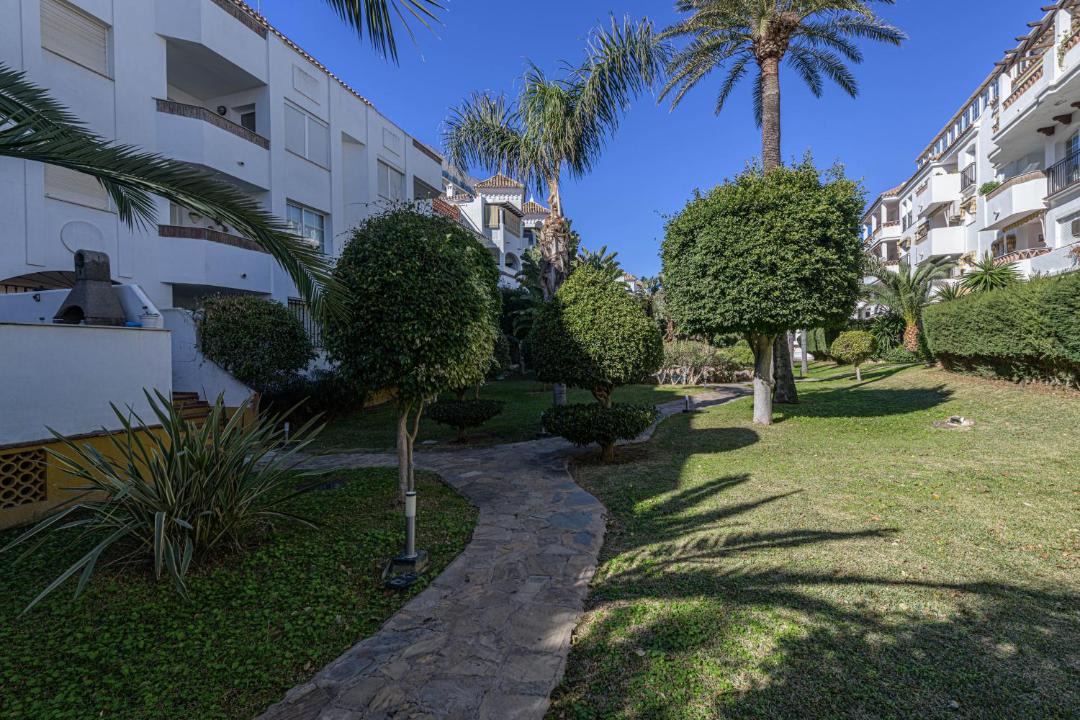 Photo of Others in Benalmadena Costa