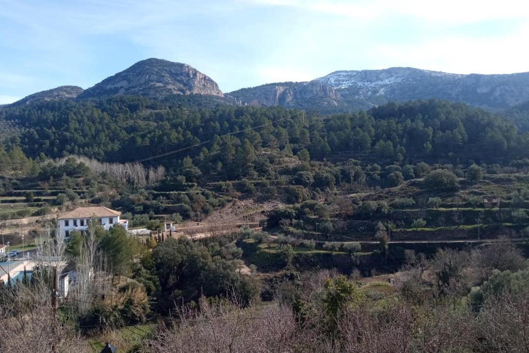 Photo of Others in Alcoleja