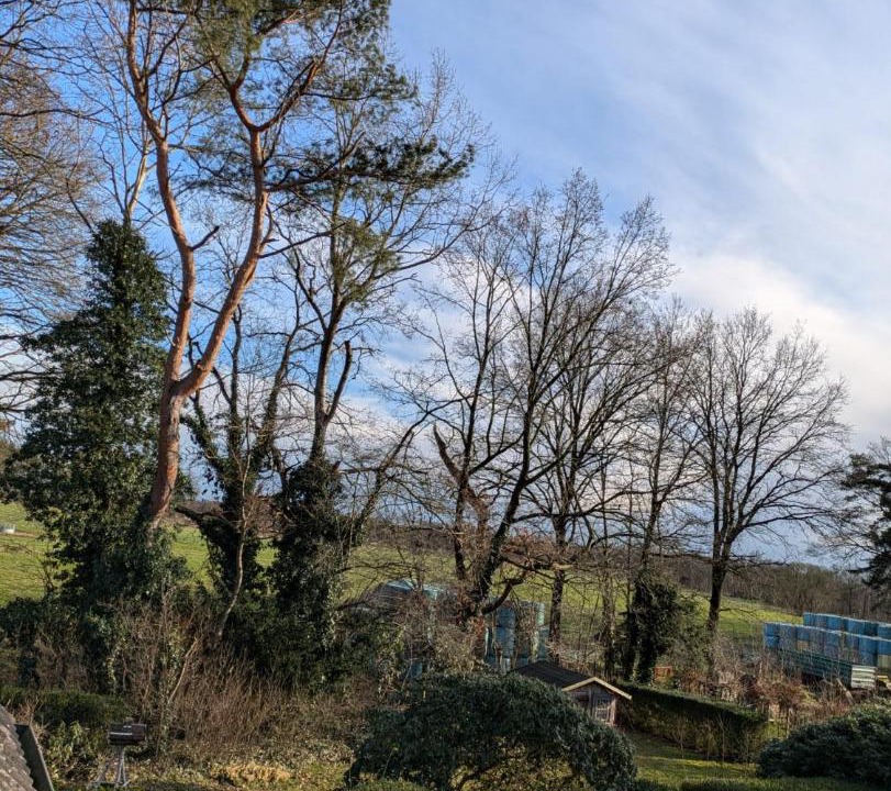 Photo of Others in Rautendorf