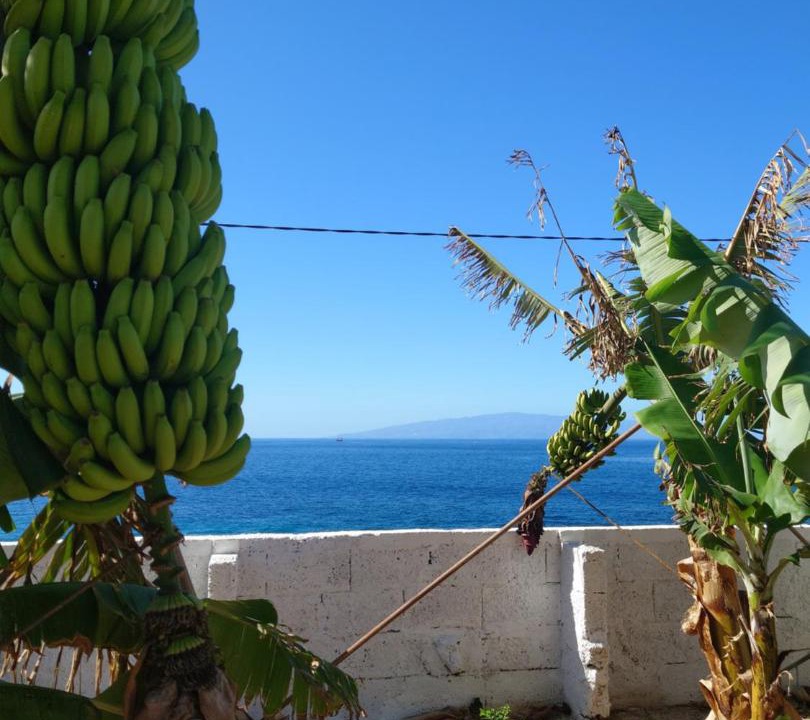 Photo of Others in Playa San Juan
