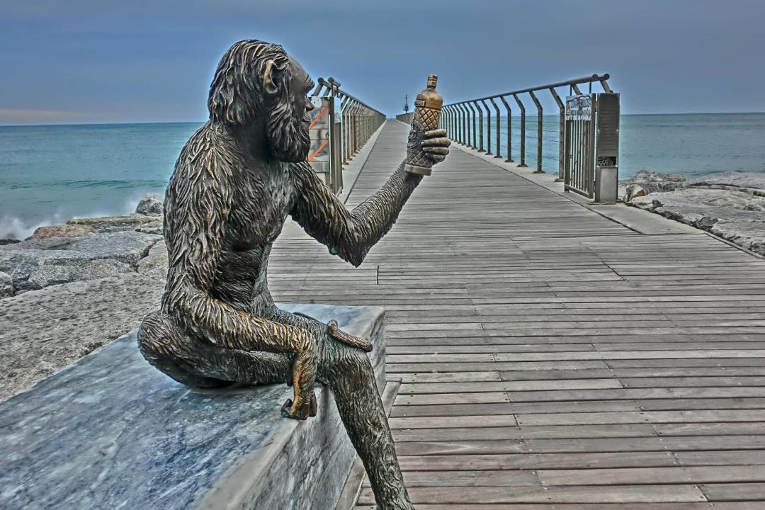 Photo of Human In Picture in Badalona