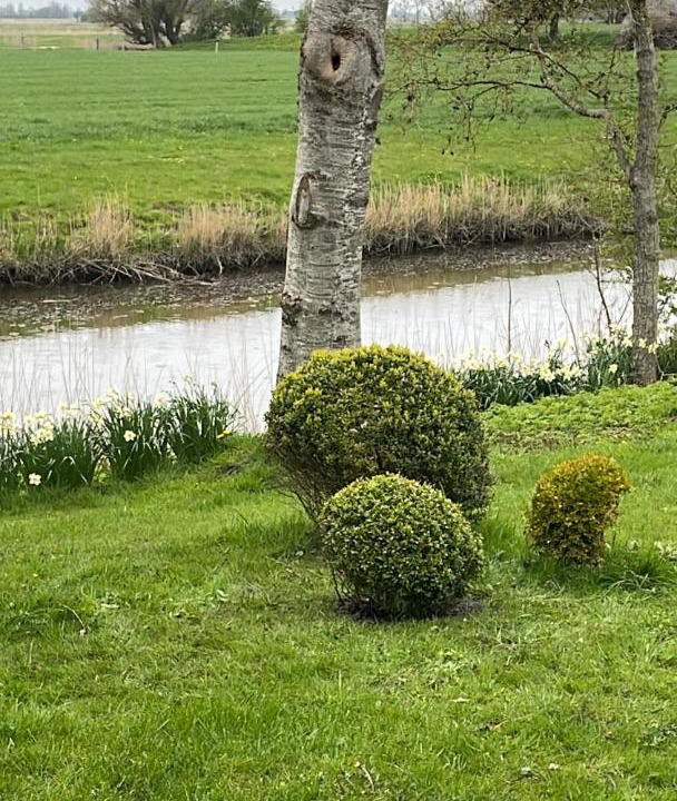 Photo of Others in Katingsiel
