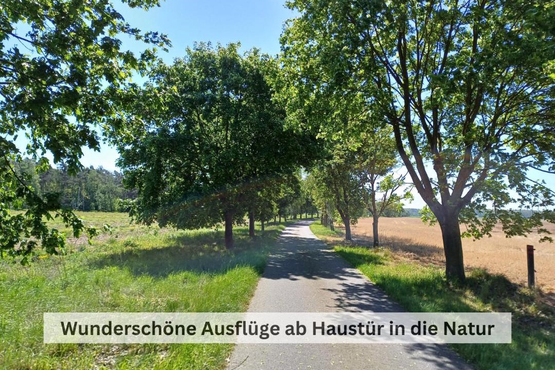 Photo of Others in Falkensee