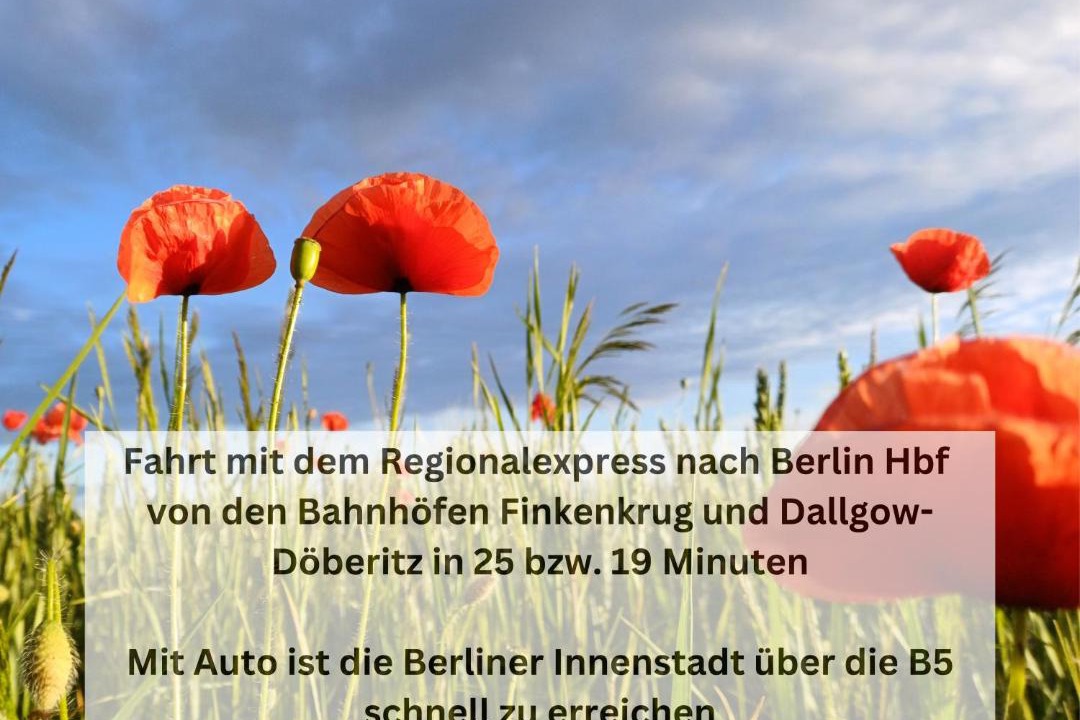 Photo of Others in Falkensee