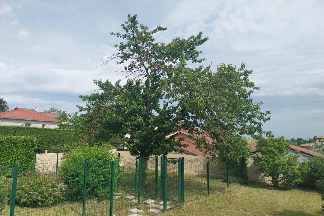 Photo of Others in Colombier-Saugnieu