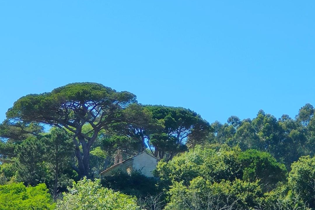 Photo of Others in Cangas