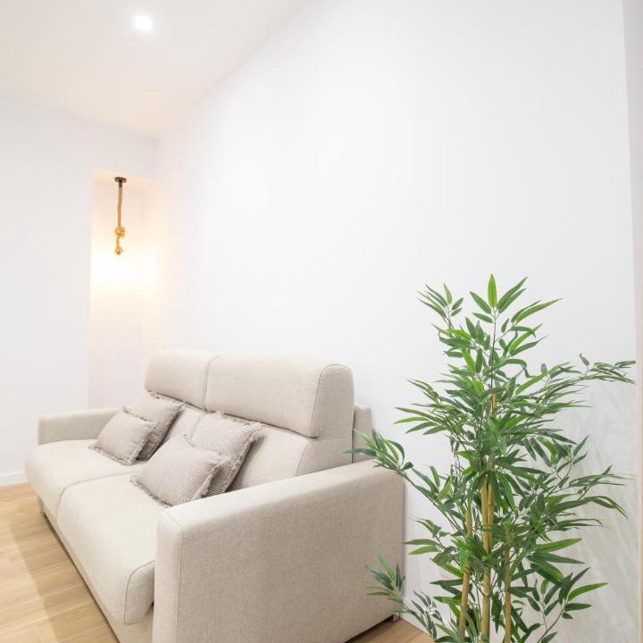 Photo of Livingroom in Morvedre