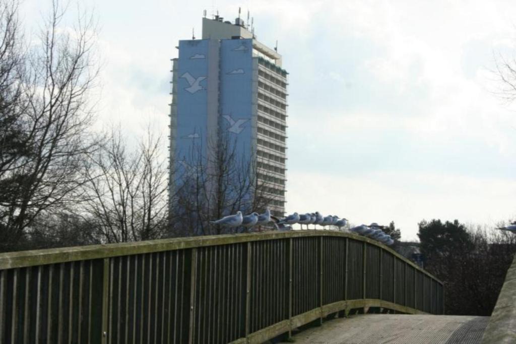 Photo of Buildings in Holm