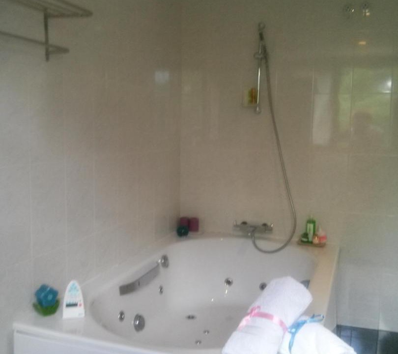 Photo of Bathroom in Valle de Carranza