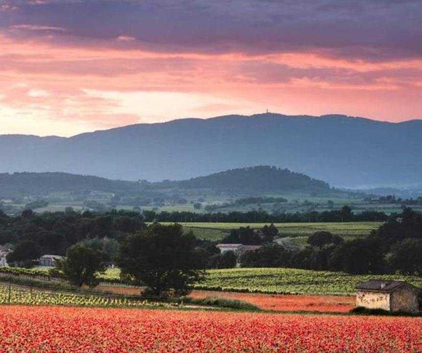 Photo of Outdoor in Monteux