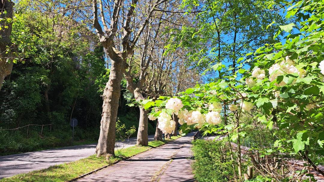 Photo of Outdoor in Lamastre