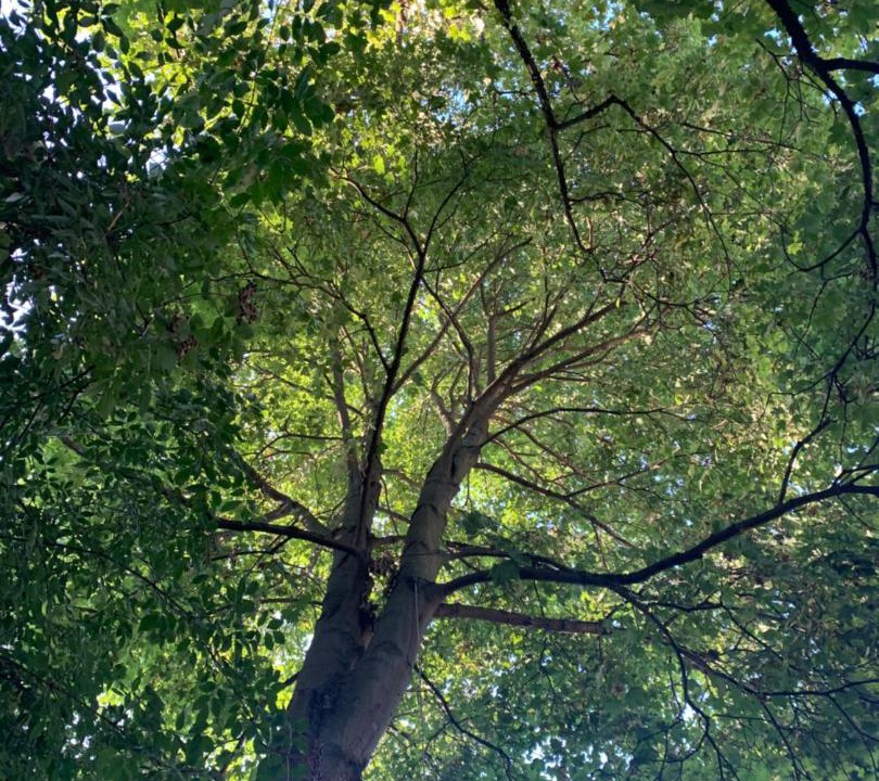 Photo of Outdoor in Burgel
