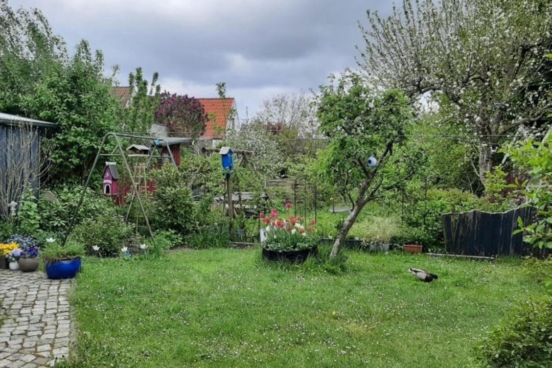 Photo of Outdoor in Schleswig