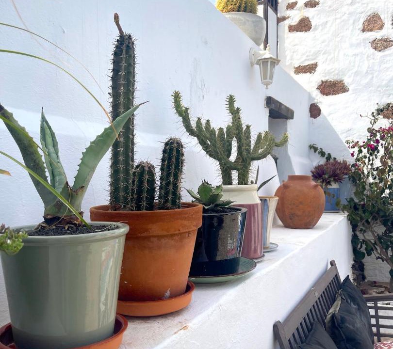 Photo of Patio Balcony in Conil