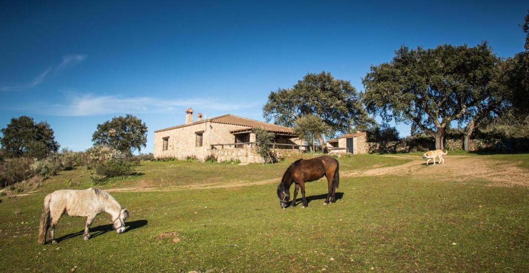 Photo of Others in San Vicente de Alcantara
