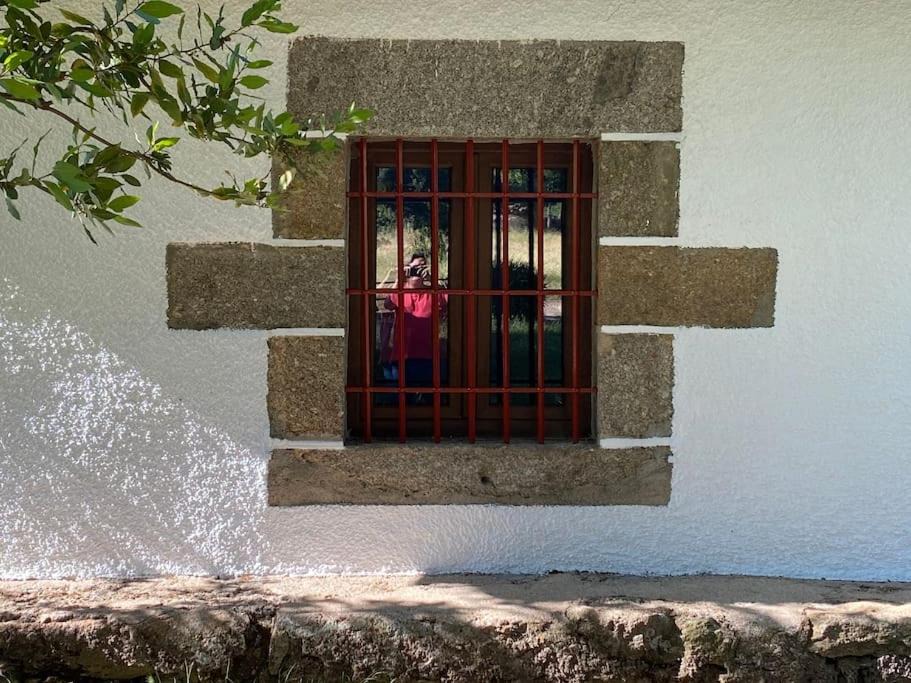 Photo of Others in Cantagallo