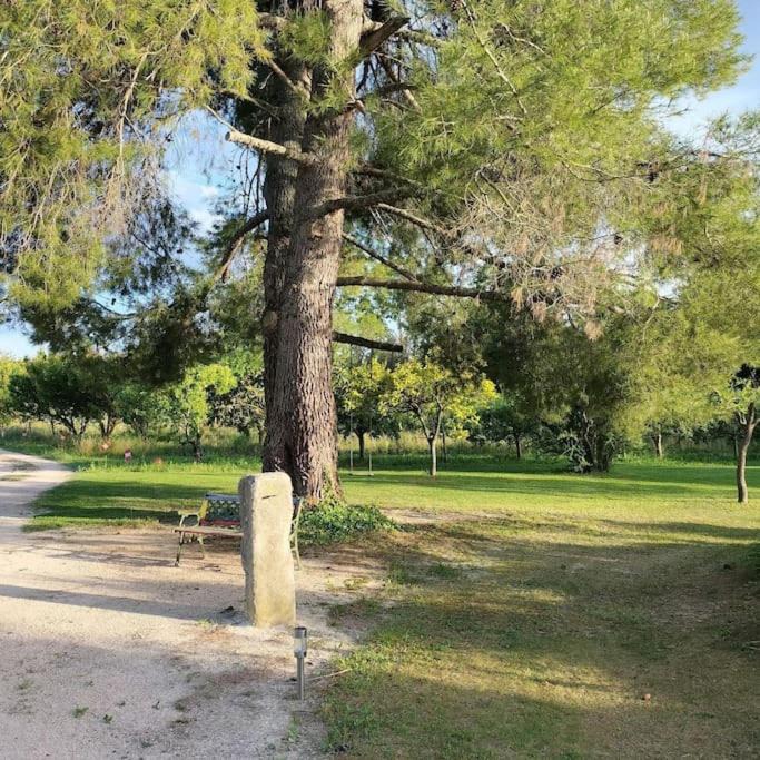 Photo of Others in Plan-d'Orgon