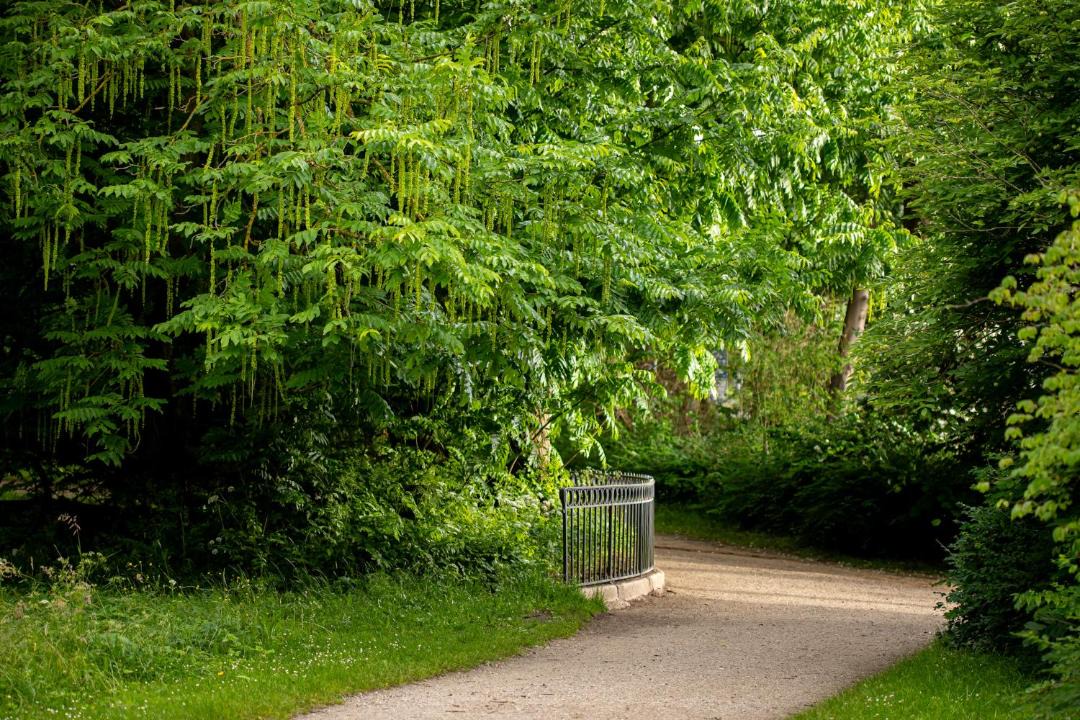 Photo of Others in Eutin