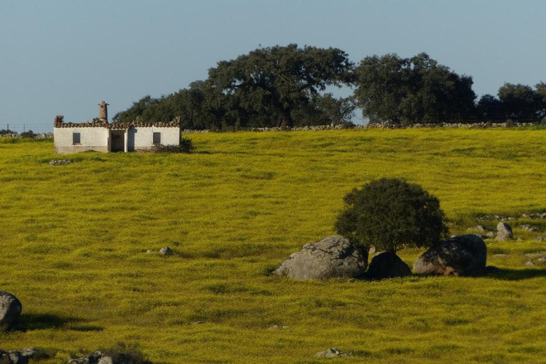 Photo of Others in Villa del Rey