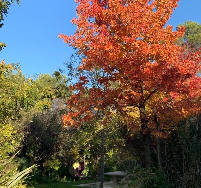 Photo of Outdoor in Lambesc