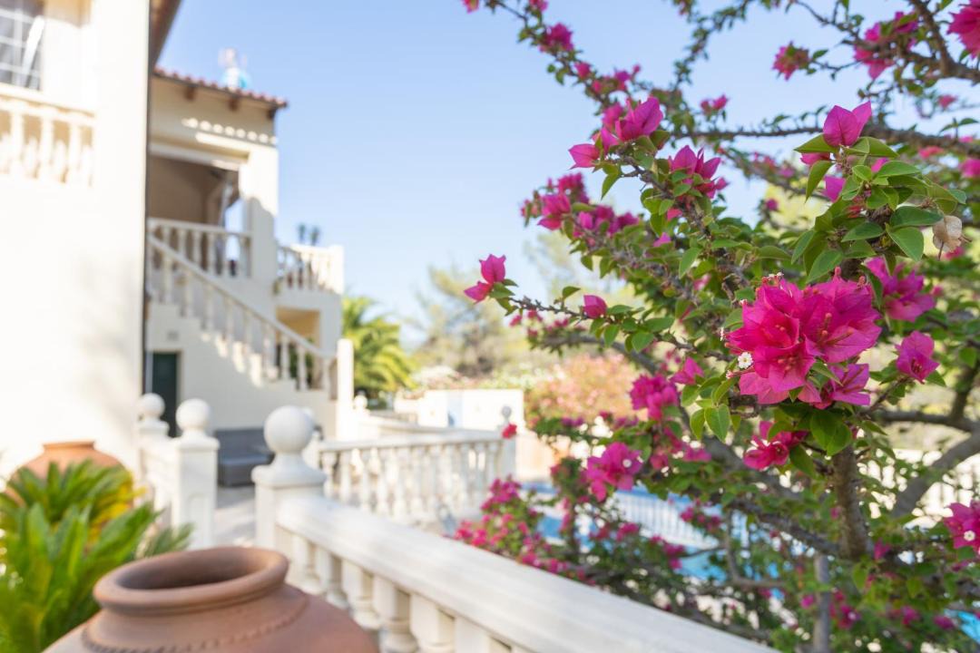 Photo of Patio Balcony in Orba