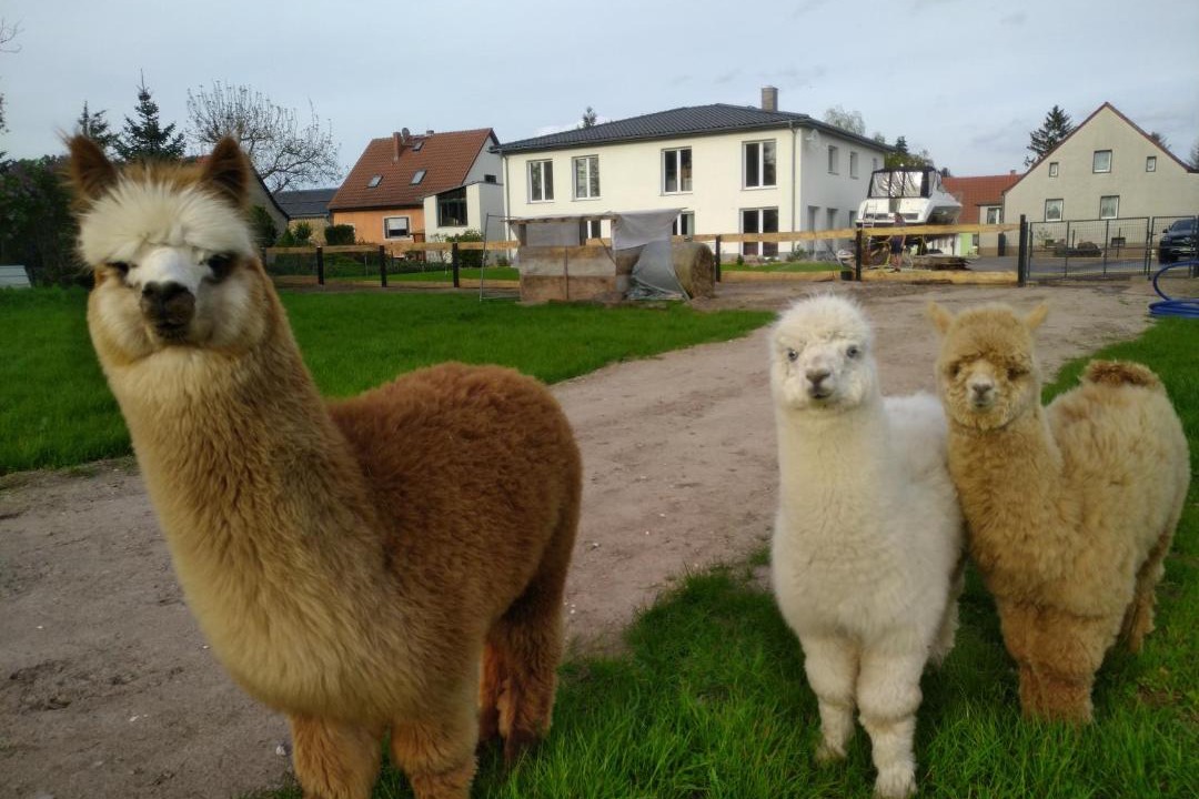 Photo of Others in Beetzseeheide