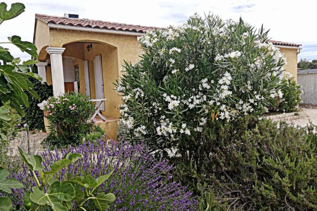 Photo of Others in Castillon-du-Gard