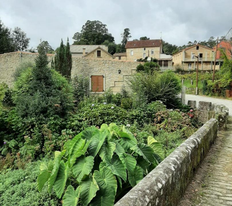 Photo of Others in Bealo