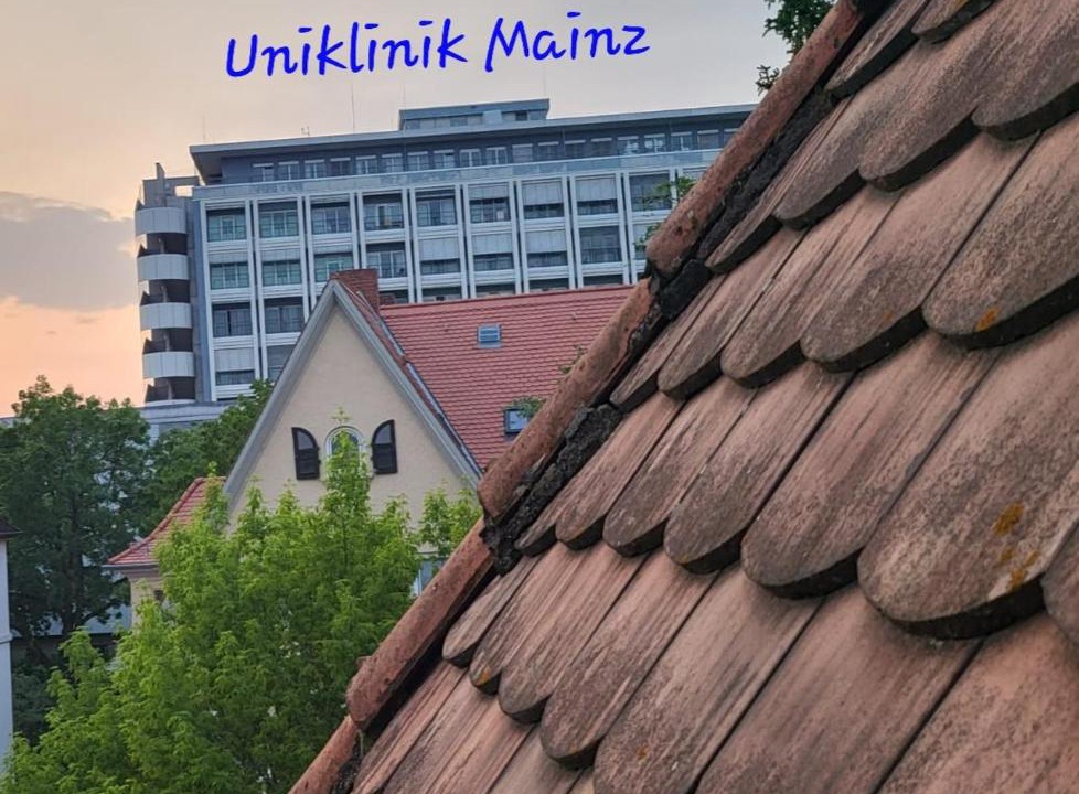 Photo of Others in Oberstadt