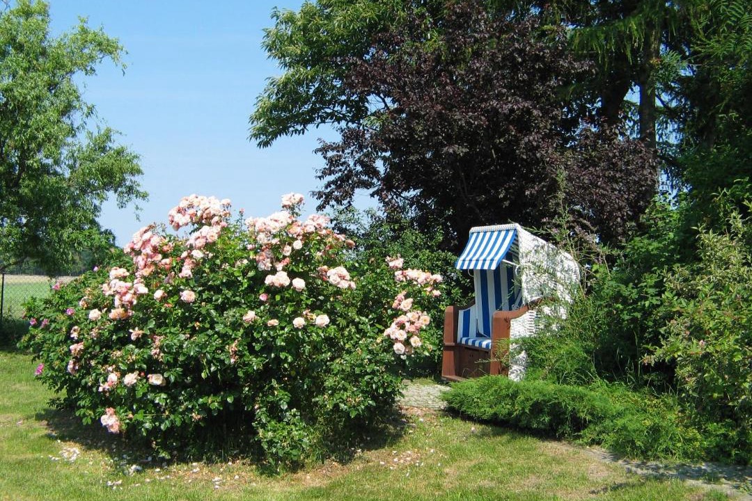 Photo of Others in Liepe