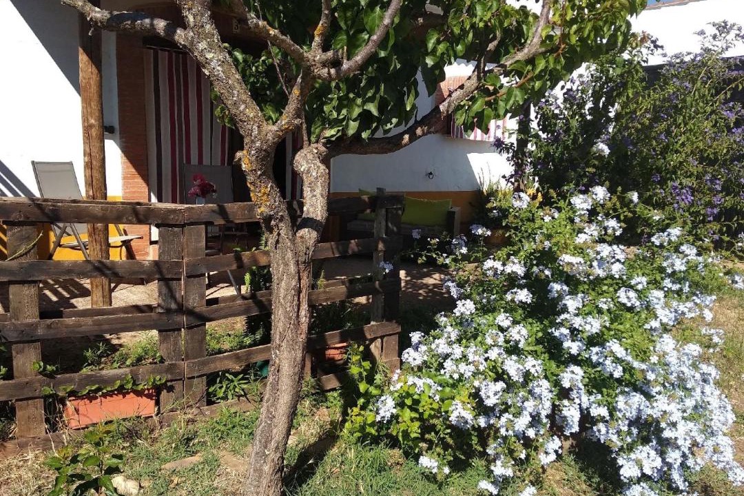 Photo of Others in Alcuescar
