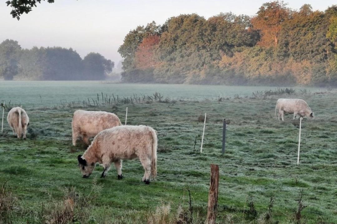 Photo of Others in Silberstedt