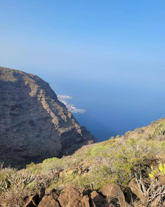Photo of Others in Tamaimo
