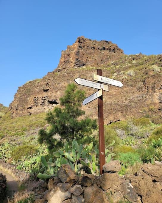 Photo of Others in Tamaimo