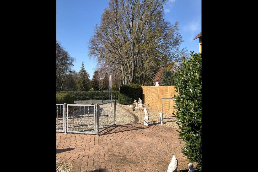 Photo of Others in Schoeningen