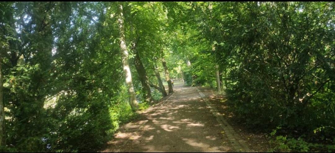 Photo of Outdoor in Delmenhorst