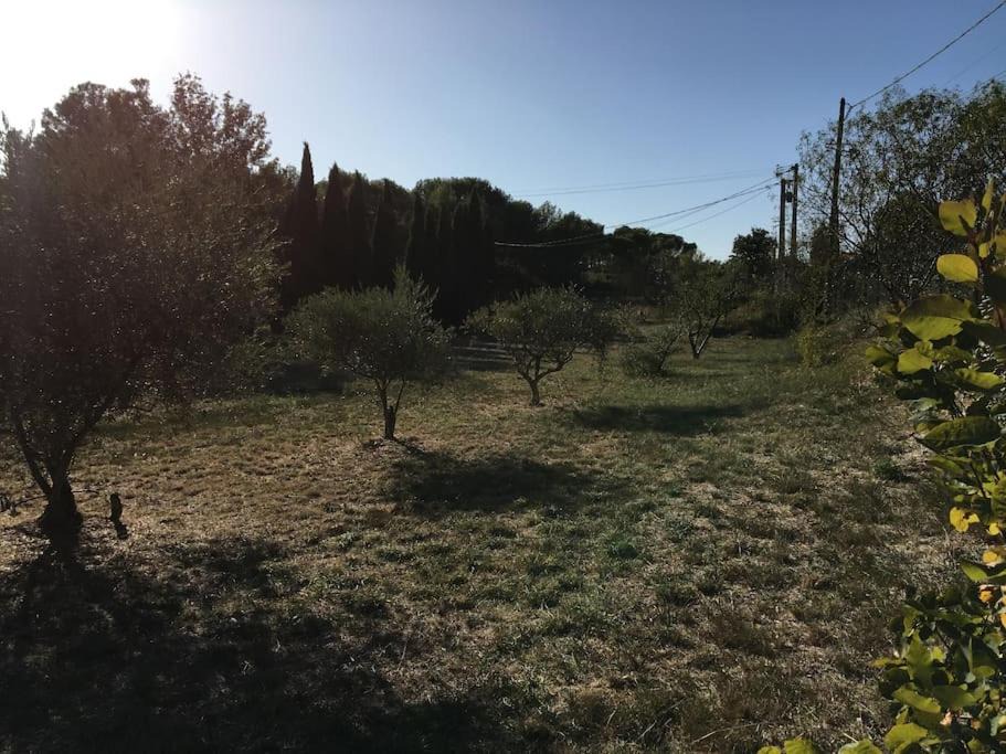 Photo of Outdoor in Lambesc