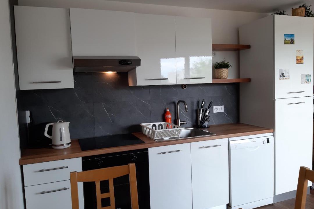 Photo of Kitchen in Ferney-Voltaire