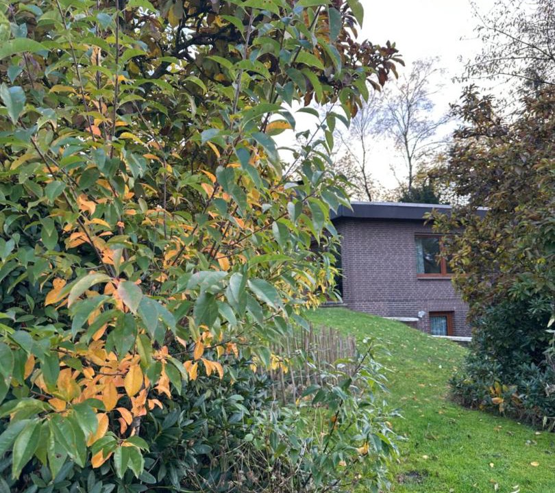 Photo of Others in Wildeshausen