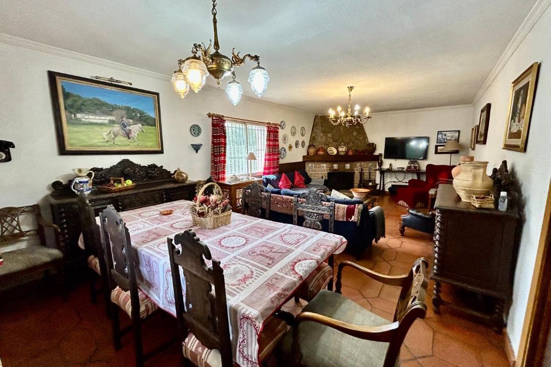 Photo of Livingroom in Ciruelas