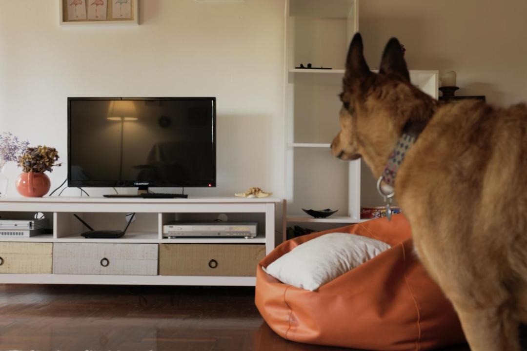 Photo of Livingroom in Ribadavia