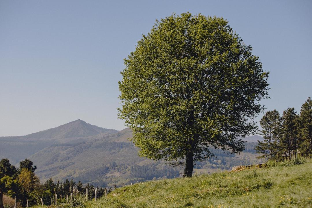 Photo of Outdoor in Traslavina